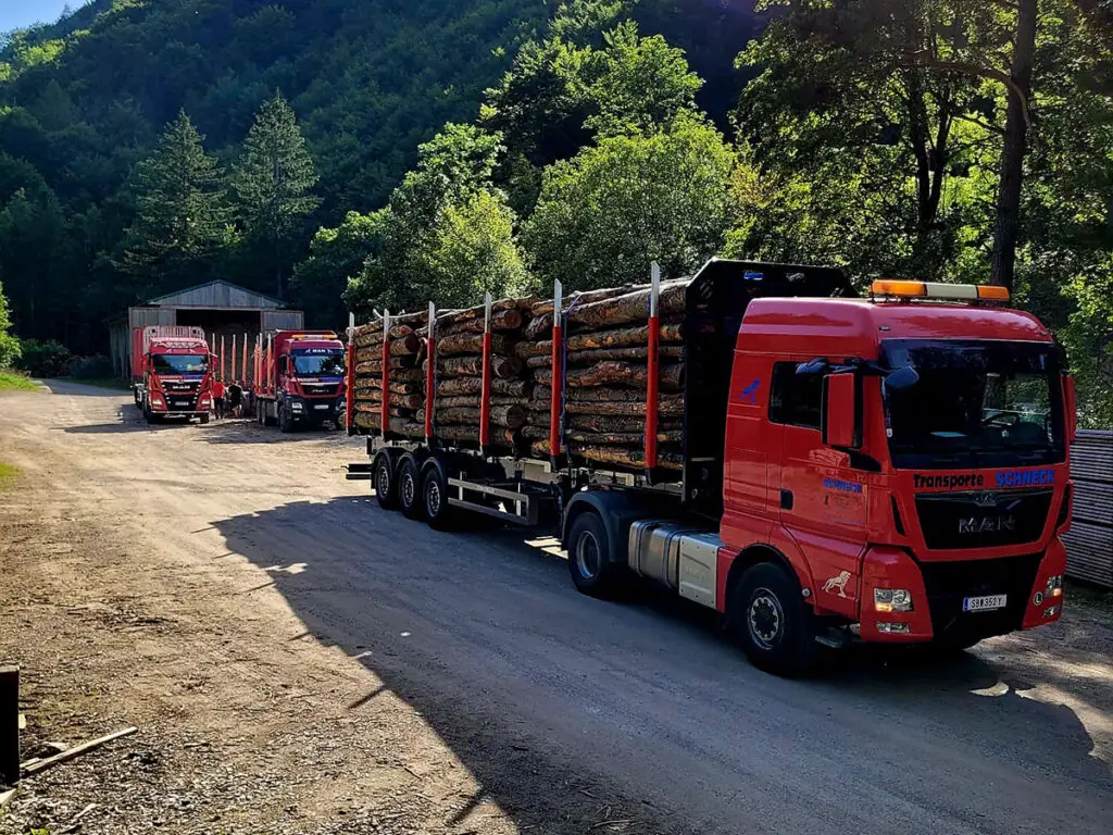 Mehrere Schneck-Holztransporter mit Rundholzladung auf einem Forstweg.